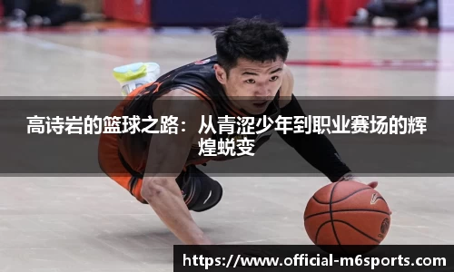 米乐m6官网